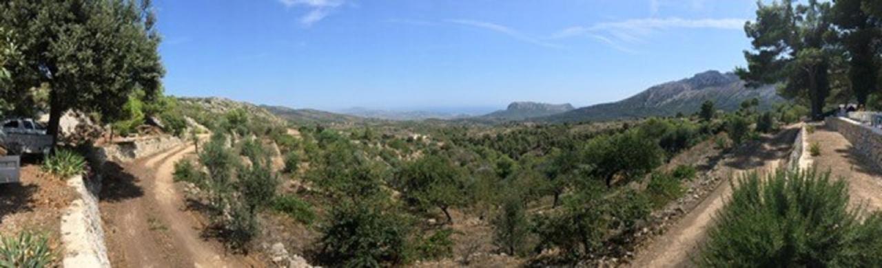 One Bed Apartment Overlooking Jalon Valley, Costa Blanca Alcalalí 外观 照片