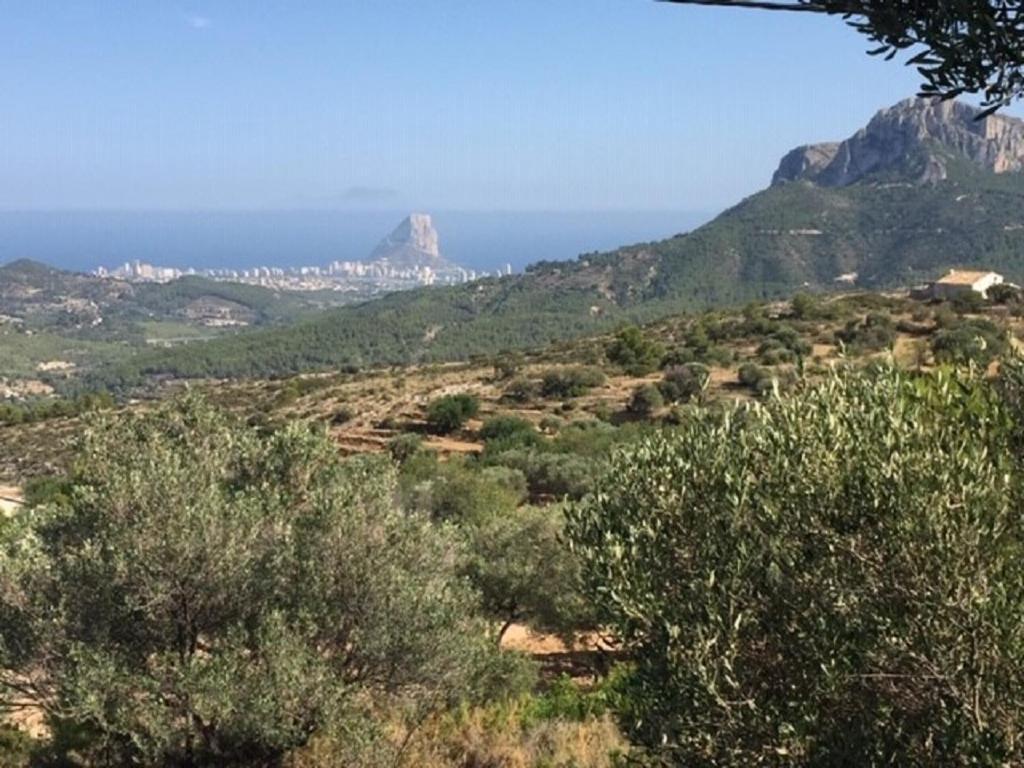 One Bed Apartment Overlooking Jalon Valley, Costa Blanca Alcalalí 外观 照片