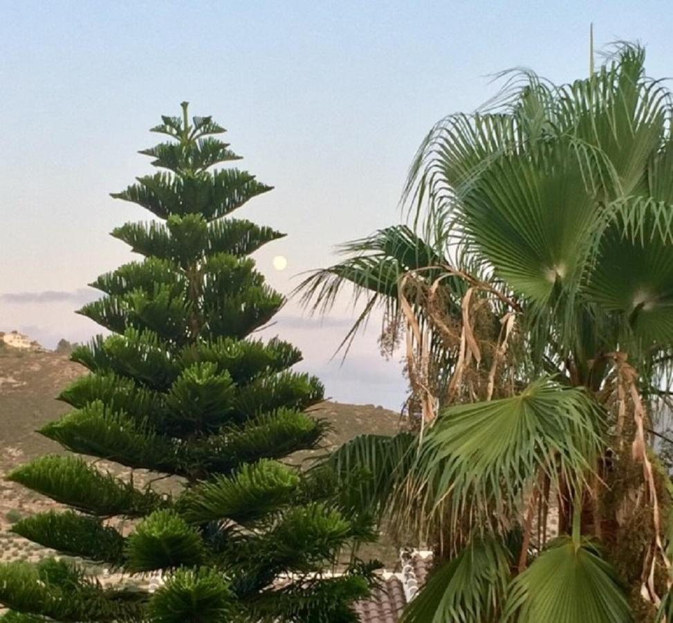 One Bed Apartment Overlooking Jalon Valley, Costa Blanca Alcalalí 外观 照片